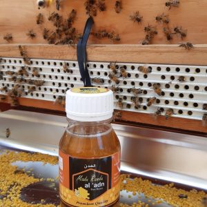 Madu Nektar Bunga Randu 350gr