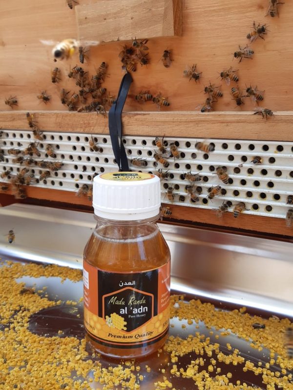 Madu Nektar Bunga Randu 350gr