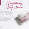 Naisa Brightening Day Cream 10gr - Gambar 4