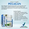 Kapsul Pegagan 60 kpsl Herbal Suplemen Otak - Gambar 2