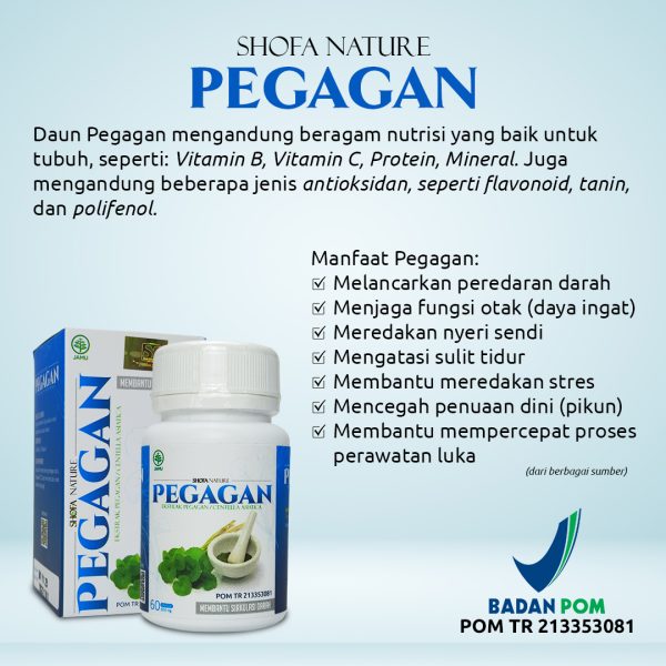Kapsul Pegagan 60 kpsl Herbal Suplemen Otak - Gambar 2