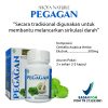 Kapsul Pegagan 60 kpsl Herbal Suplemen Otak - Gambar 5