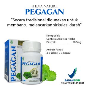 Kapsul Pegagan 60 kpsl Herbal Suplemen Otak