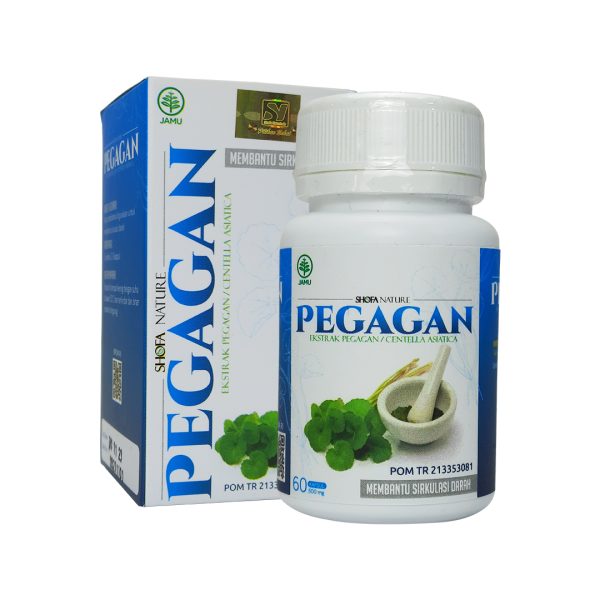 Kapsul Pegagan 60 kpsl Herbal Suplemen Otak - Gambar 4