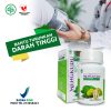 Kapsul Mengkudu 60 kapsul Obat Herbal Darah Tinggi - Gambar 3