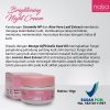 Naisa Brightening Night Cream 10gr - Gambar 2