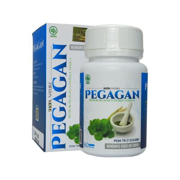 Kapsul Pegagan 60 kpsl Herbal Suplemen Otak - Gambar 3