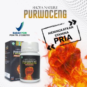 Kapsul Purwoceng 60 kapsul Meningkatkan Stamina Pria