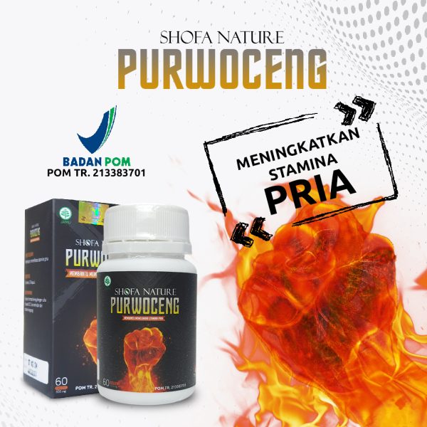 Kapsul Purwoceng 60 kapsul Meningkatkan Stamina Pria