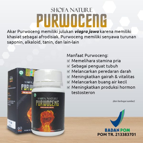 Kapsul Purwoceng 60 kapsul Meningkatkan Stamina Pria - Gambar 4