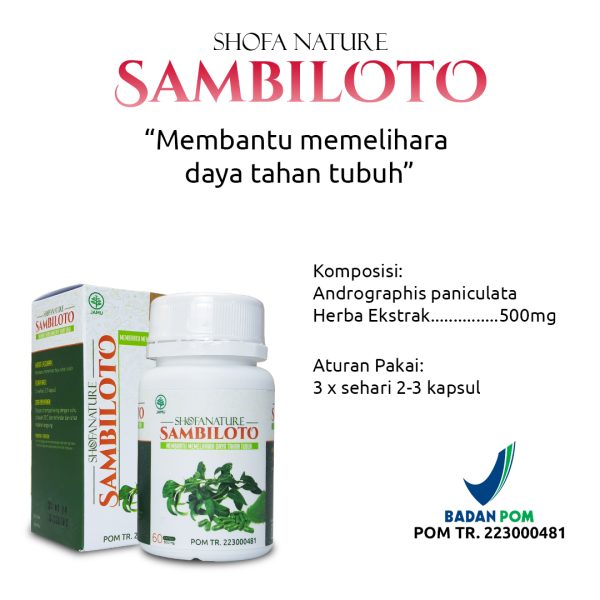 Kapsul Sambiloto 60 kapsul Menjaga Daya Tahan Tubuh - Gambar 3