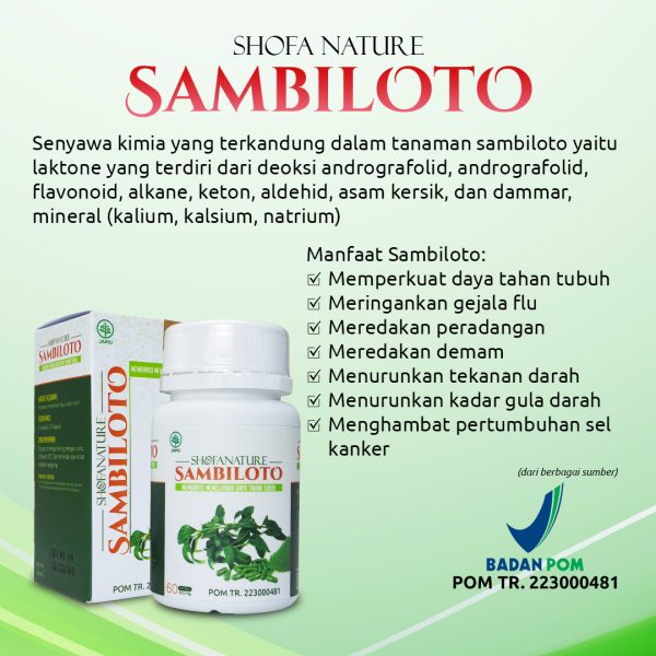 Kapsul Sambiloto 60 kapsul Menjaga Daya Tahan Tubuh - Gambar 2
