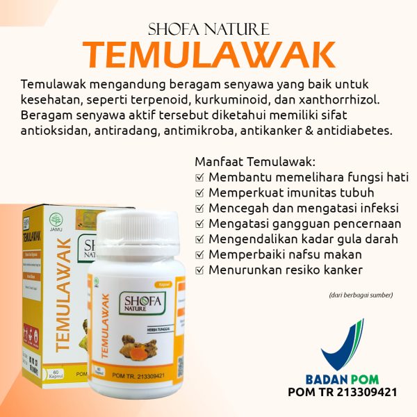 Kapsul Temulawak 60 kapsul Menjaga Kesehatan Pencernaan - Gambar 2