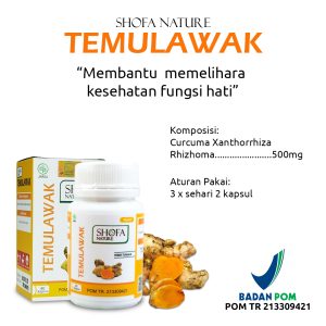 Kapsul Temulawak 60 kapsul Menjaga Kesehatan Pencernaan